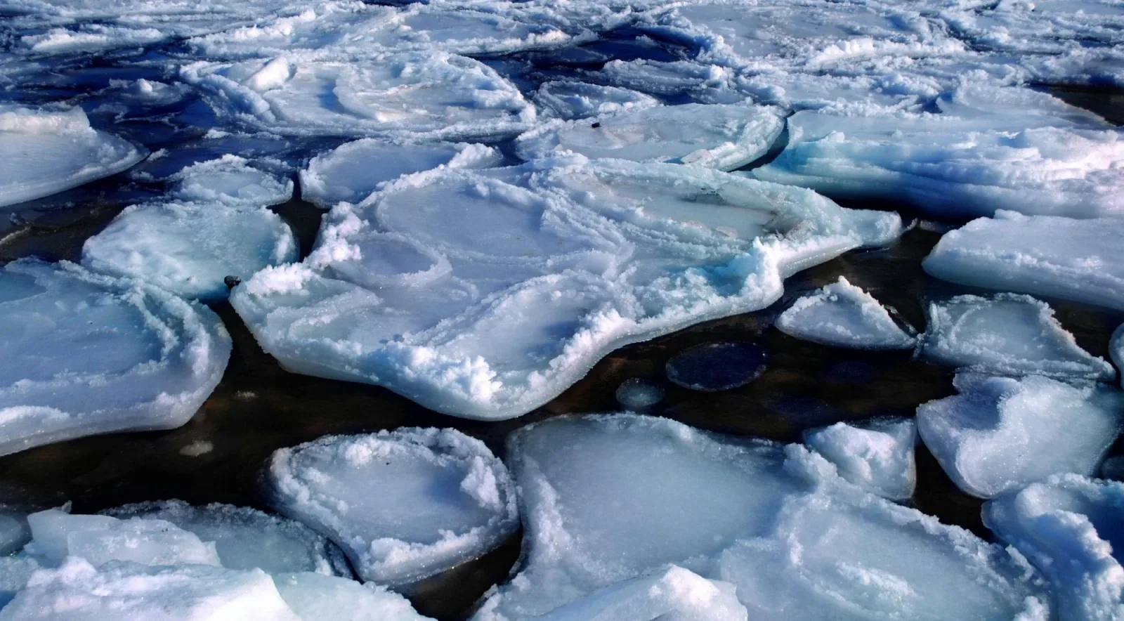 Close-up of broken plates of river ice floating on dark water