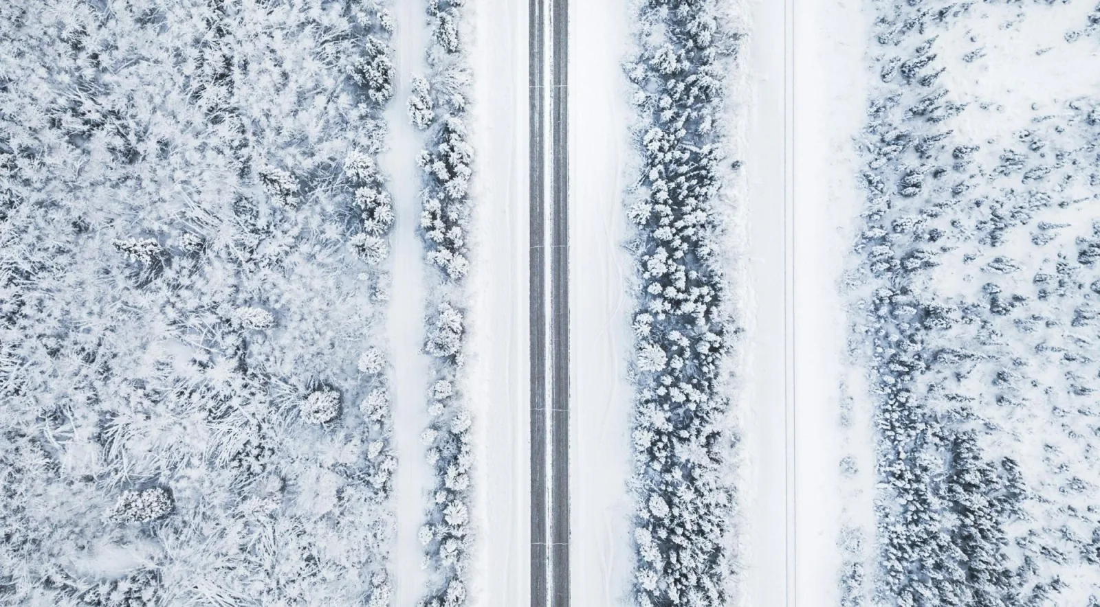 Aerial view of a snow-covered highway running straight through frosted spruce forest