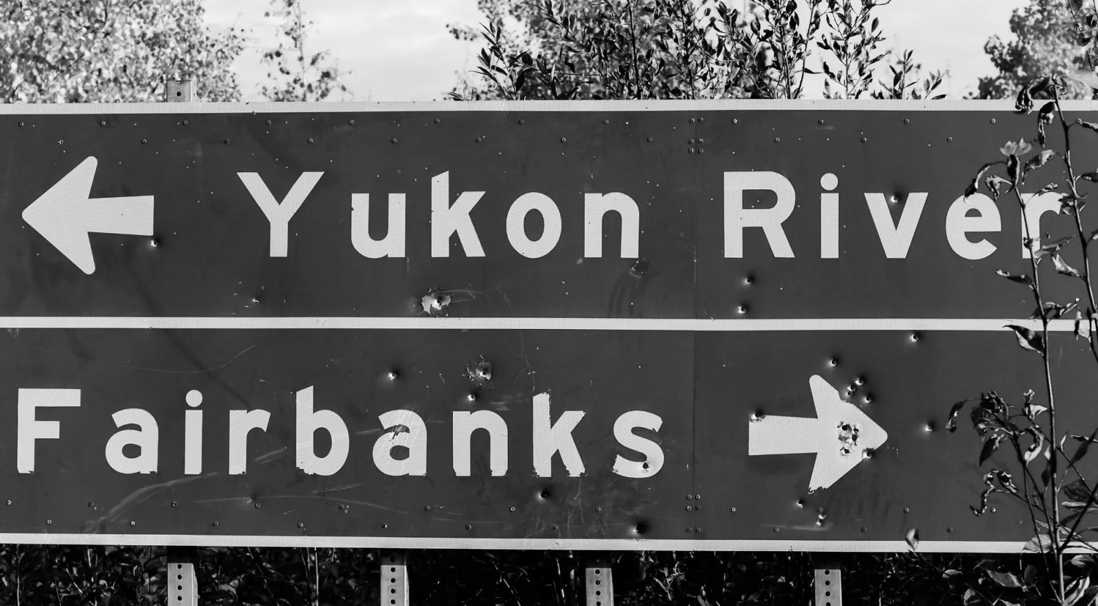 Road sign pointing left to the Yukon River and right to Fairbanks
