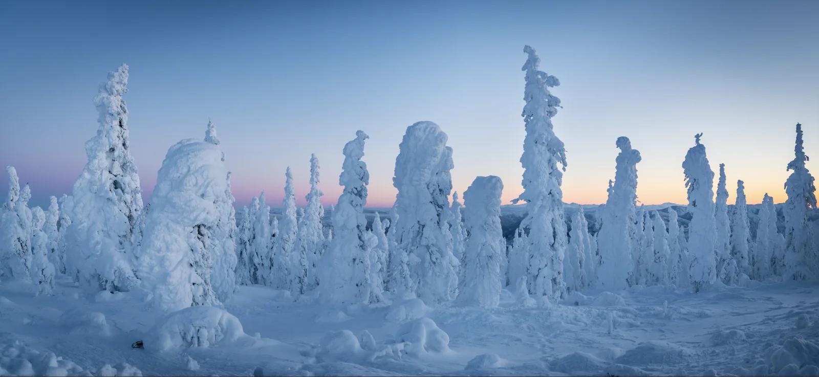 Arctic Circle & Northern Lights - Dalton Highway Tour