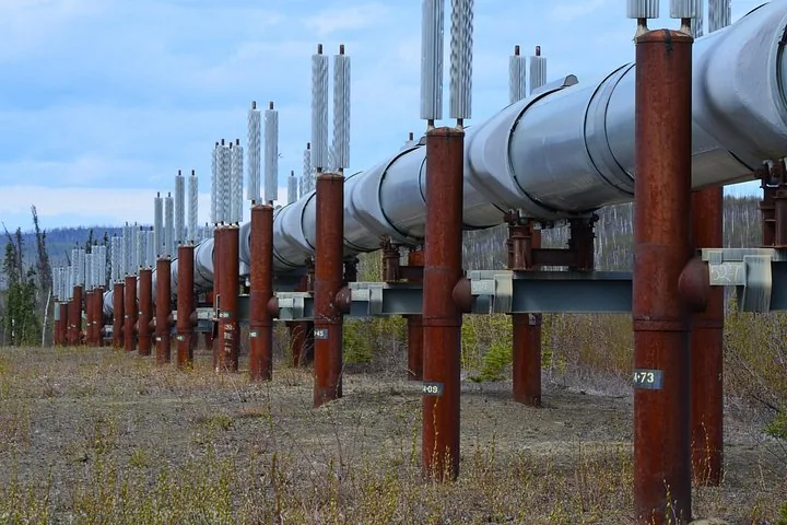 Trans-Alaska Pipeline zigzagging on its vertical supports with heat pipes across the tundra