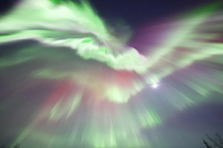 Pale green and red aurora rays fanning out from directly overhead with a bright star near the center