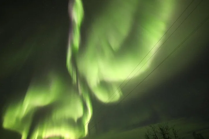 Green aurora bands behind power lines and bare trees along the highway north of Fairbanks