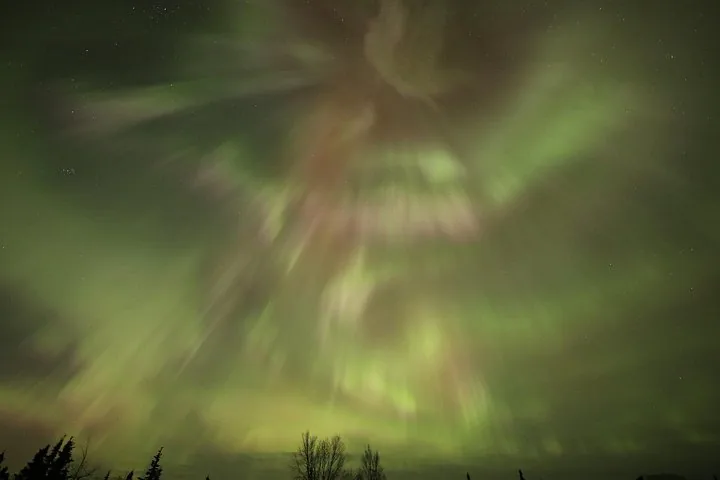 Diffuse green and red aurora spreading across the whole sky above a line of spruce trees